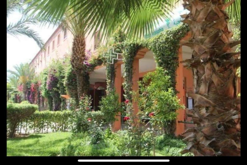 מרקש Riad Nolya Luxury Marrakech - Totalement Renove - Capacite Jusqu A 10 Lits Spacieux מראה חיצוני תמונה